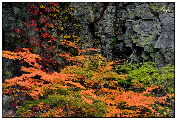 DSC_4204.jpg DSC_4204.jpg