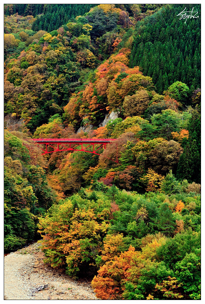 DSC_0859.jpg DSC_0859.jpg