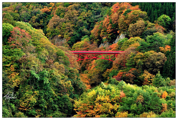 DSC_0869_E.jpg DSC_0869_E.jpg