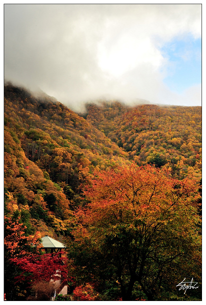 DSC_0893_C.jpg DSC_0893_C.jpg