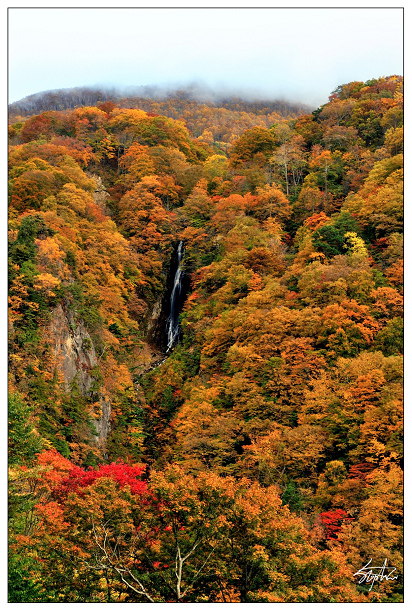 DSC_0897.jpg DSC_0897.jpg