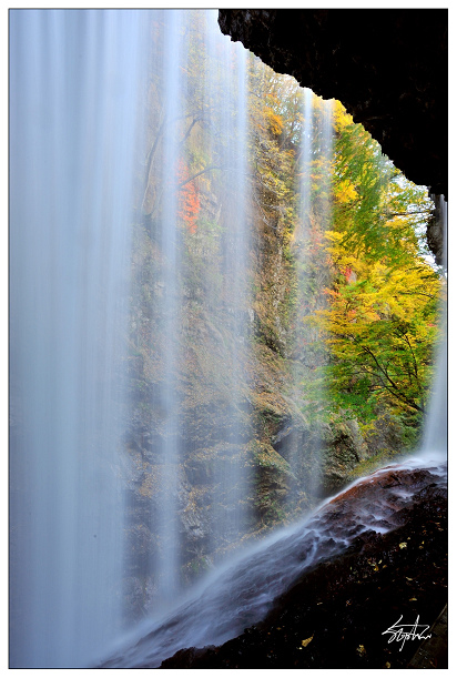 DSC_0955.jpg DSC_0955.jpg