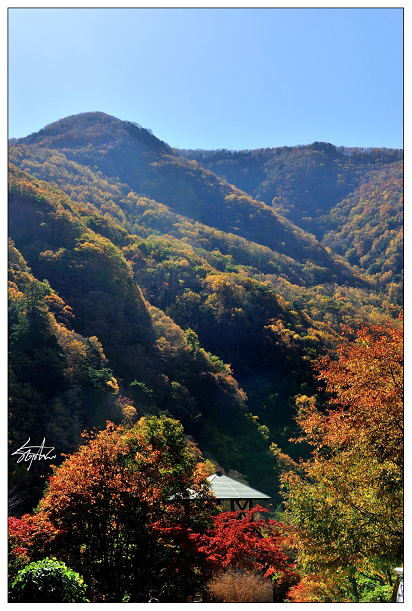 DSC_0957.jpg DSC_0957.jpg