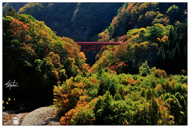 DSC_0971_R.jpg DSC_0971_R.jpg