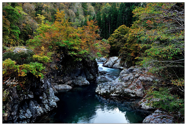 DSC_0984.jpg DSC_0984.jpg