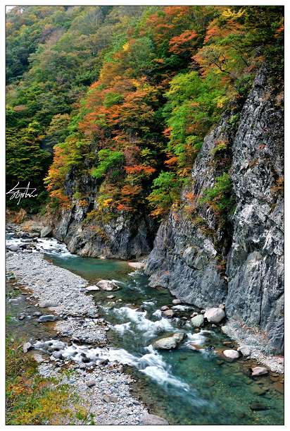 DSC_1051.jpg DSC_1051.jpg