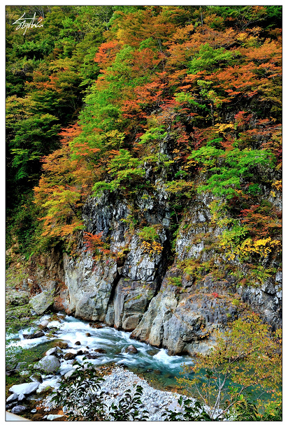 DSC_1061.jpg DSC_1061.jpg