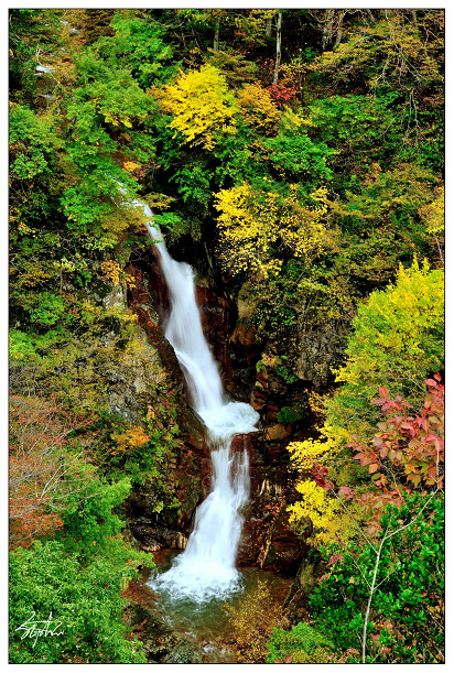 DSC_1079.jpg DSC_1079.jpg