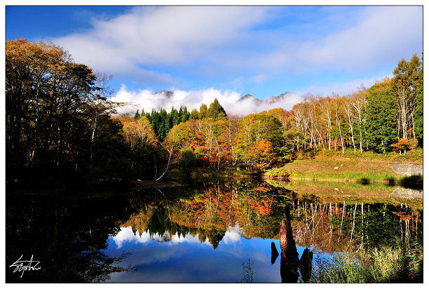 DSC_1619.jpg DSC_1619.jpg