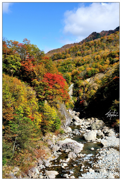 DSC_1765.jpg DSC_1765.jpg