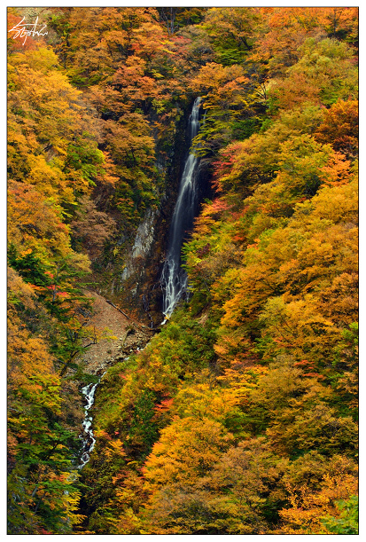 DSC_4991.jpg DSC_4991.jpg