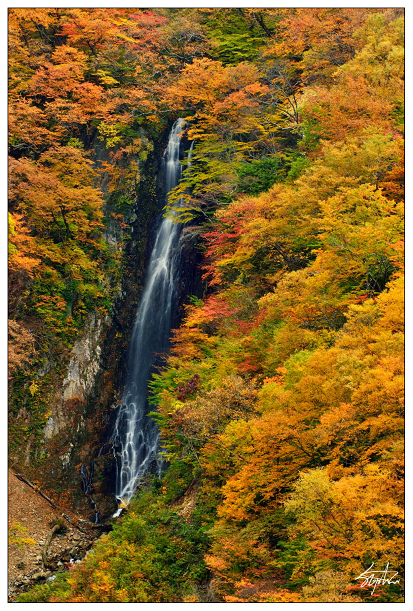 DSC_5001.jpg DSC_5001.jpg