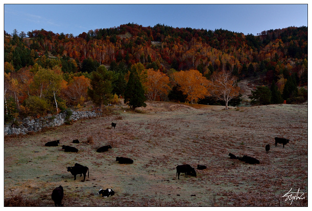 DSC_5006.jpg DSC_5006.jpg