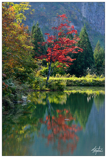 DSC_5019.jpg DSC_5019.jpg