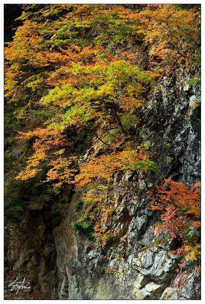 DSC_5030.jpg DSC_5030.jpg