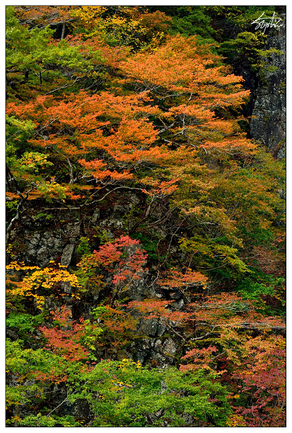 DSC_5035.jpg DSC_5035.jpg