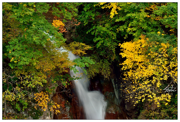 DSC_5038.jpg DSC_5038.jpg