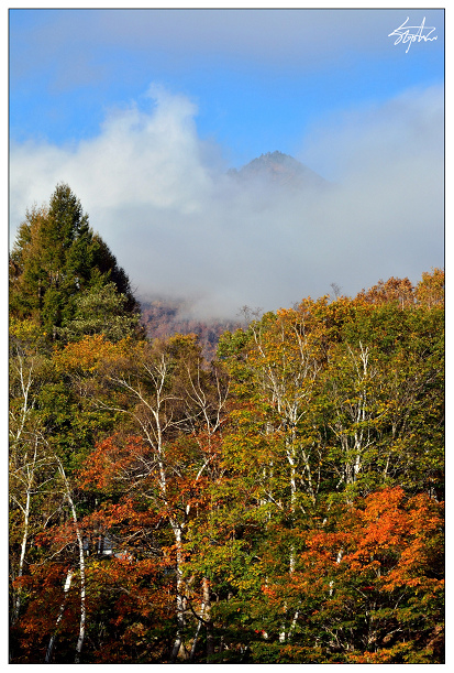 DSC_5530.jpg DSC_5530.jpg