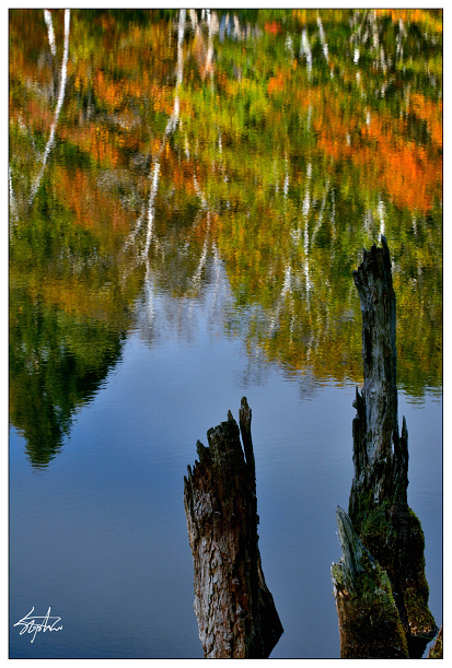 DSC_5532.jpg DSC_5532.jpg