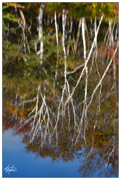 DSC_5536.jpg DSC_5536.jpg