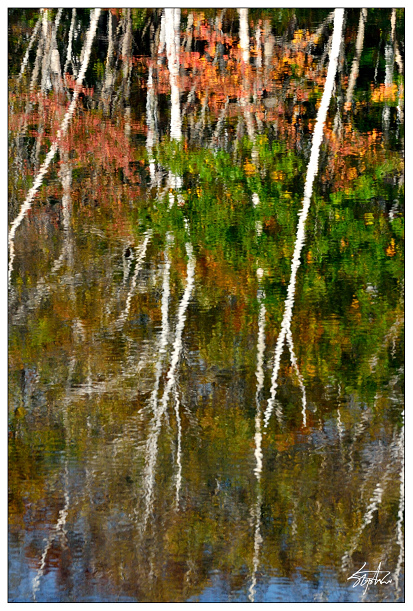 DSC_5537_1.jpg DSC_5537_1.jpg