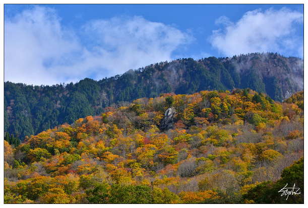 DSC_5543.jpg DSC_5543.jpg