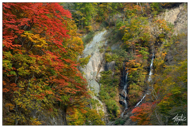 DSC_5550.jpg DSC_5550.jpg