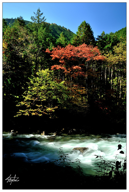 DSC_1836.jpg DSC_1836.jpg