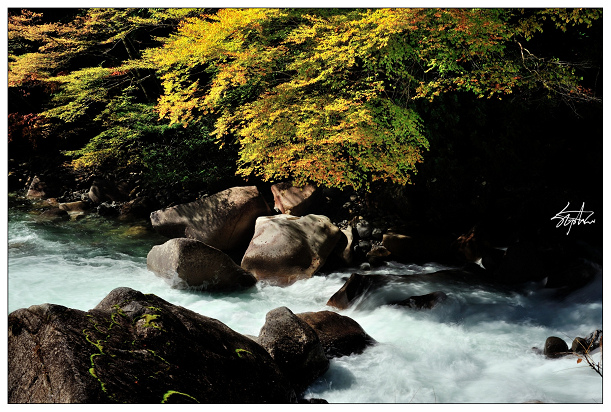 DSC_1857.jpg DSC_1857.jpg