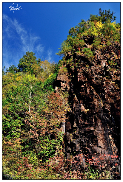 DSC_1872.jpg DSC_1872.jpg