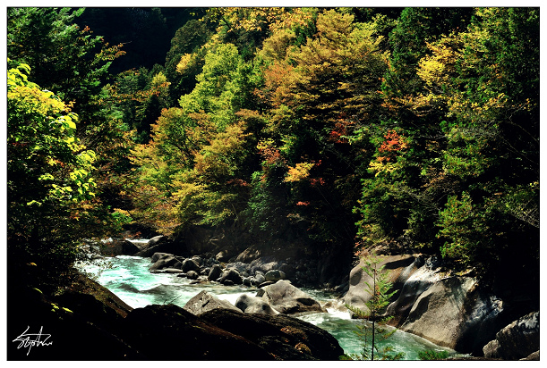 DSC_1891.jpg DSC_1891.jpg