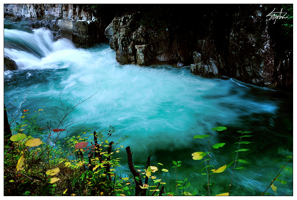 DSC_1929.jpg DSC_1929.jpg