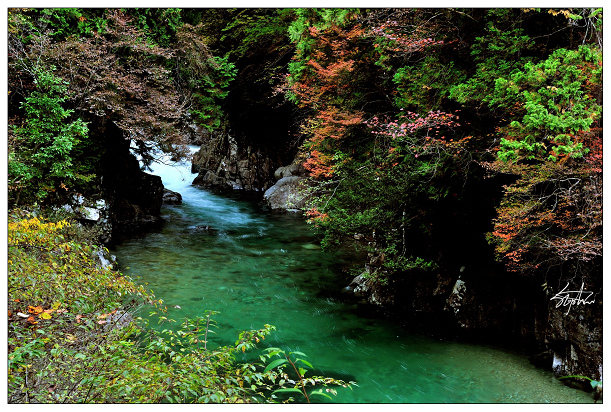 DSC_1980.jpg DSC_1980.jpg