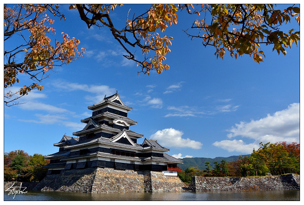 DSC_5567.jpg DSC_5567.jpg