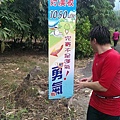 好漢坡.jpg