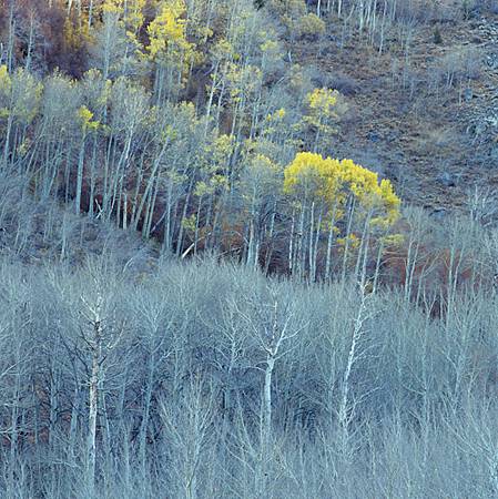 Aspen -9p45 Aspen -9p45