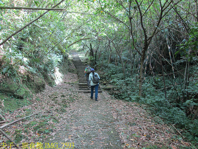 淡蘭古道北路 金字碑古道 遺跡探訪 印證歷史 IMG_7593.jpg - 金字碑 20220920