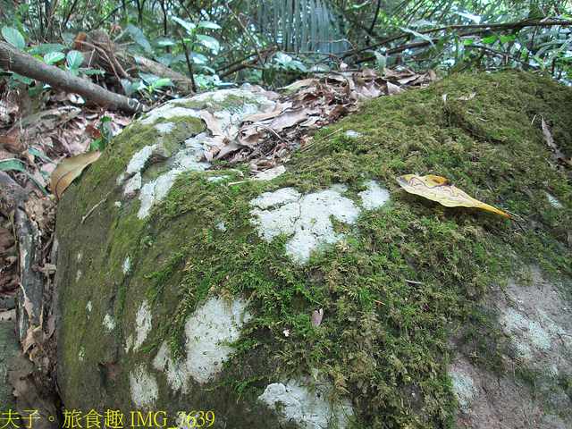 淡蘭古道北路 金字碑古道 遺跡探訪 印證歷史 IMG_7639.jpg - 金字碑 20220920
