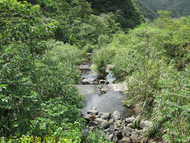 淡蘭古道北路 金字碑古道 遺跡探訪 印證歷史 IMG_7562.jpg - 金字碑 20220920