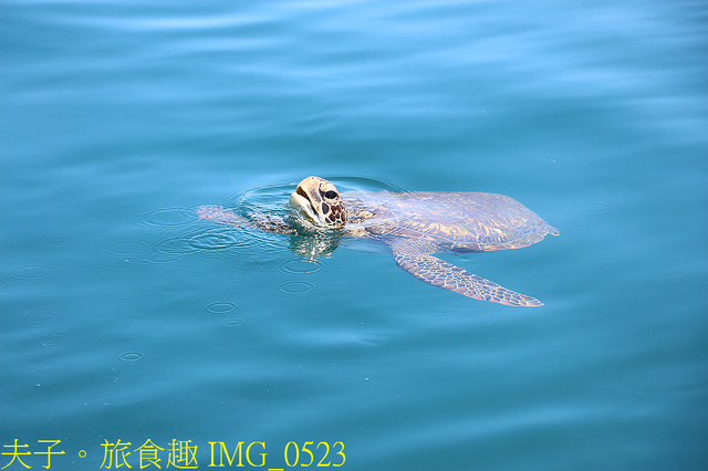 IMG_0523.jpg - 澎湖白灣坑休閒魚場 20220727