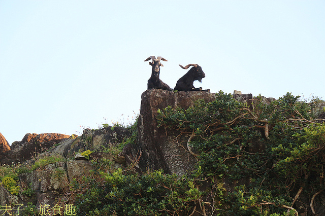 IMG_2310.jpg - 蘭嶼椰油部落虎頭坡 20220326