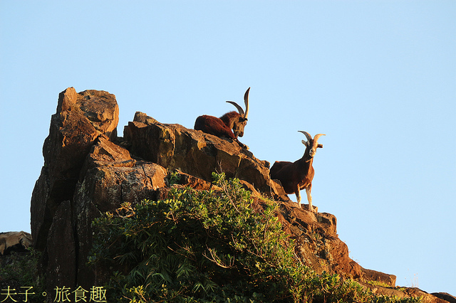 IMG_2322.jpg - 蘭嶼椰油部落虎頭坡 20220326