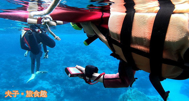蘭嶼洞口浮潛-4-1.jpg - 蘭嶼 小丑魚 X 海葵 X 珊瑚 洞口浮潛 20220327