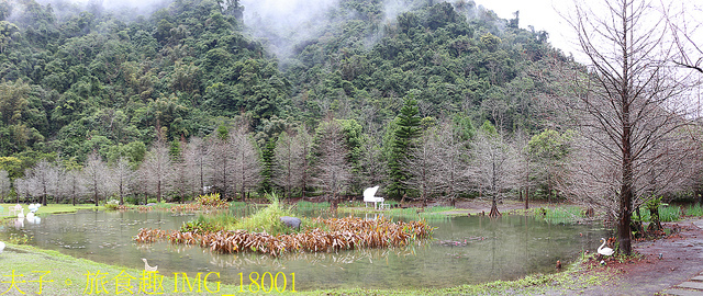 IMG_18001.jpg - 南庄雲水度假森林 20220214