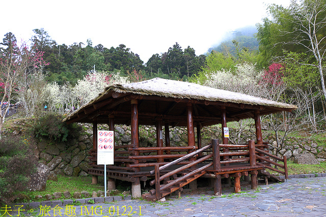 IMG_0122-1.jpg - 嘉義阿里山鄉迷糊步道(米洋溪步道) 2015/07/18