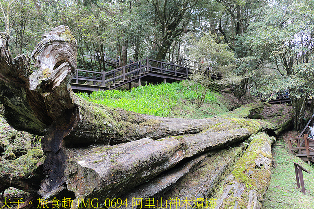 IMG_0694 阿里山神木遺跡.jpg - 阿里山國家森林遊樂區 20220203