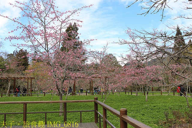 IMG_0816.jpg - 阿里山國家森林遊樂區 20220203