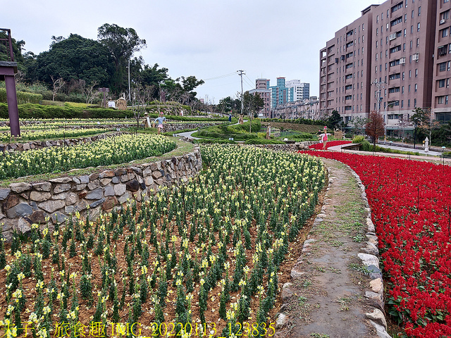 IMG_20220113_123835.jpg - 桃園大有梯田生態公園 20220114