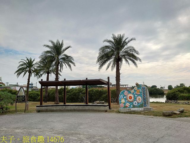 14676.jpg - 仙后水母 (倒立水母) 林園海洋濕地公園 20211128