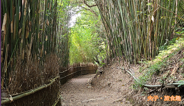 228720-2.jpg - 陽明山國家公園 橫嶺古道 半嶺步道 湖山國小步道 20210906